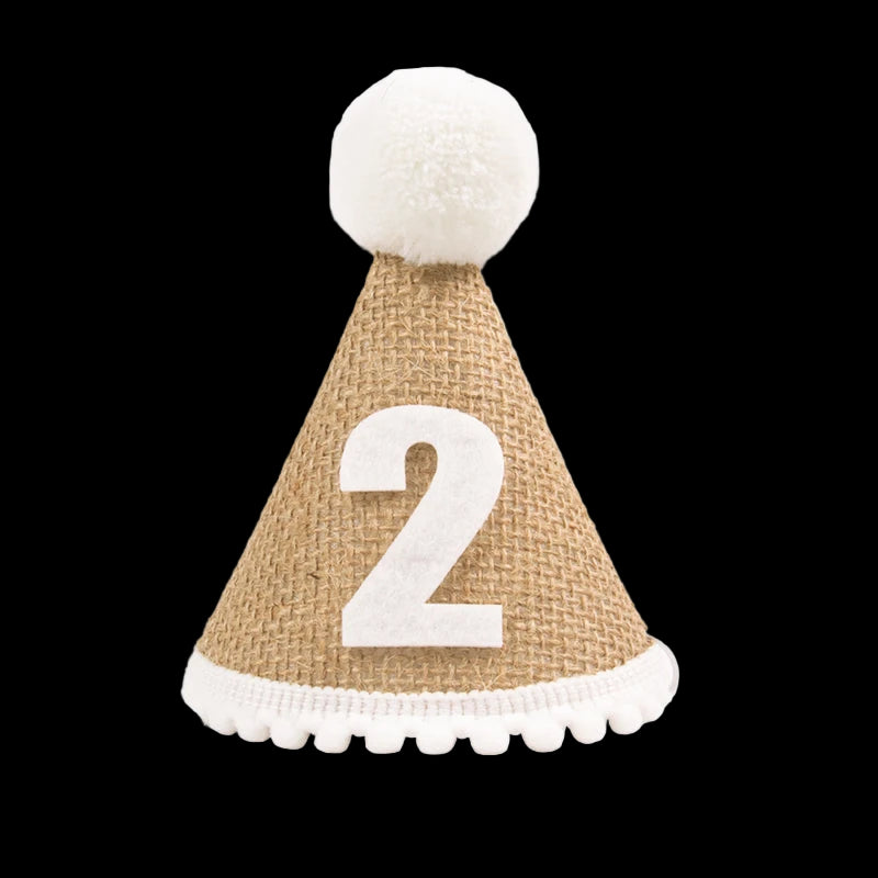 Party hat with number '2' on a white background