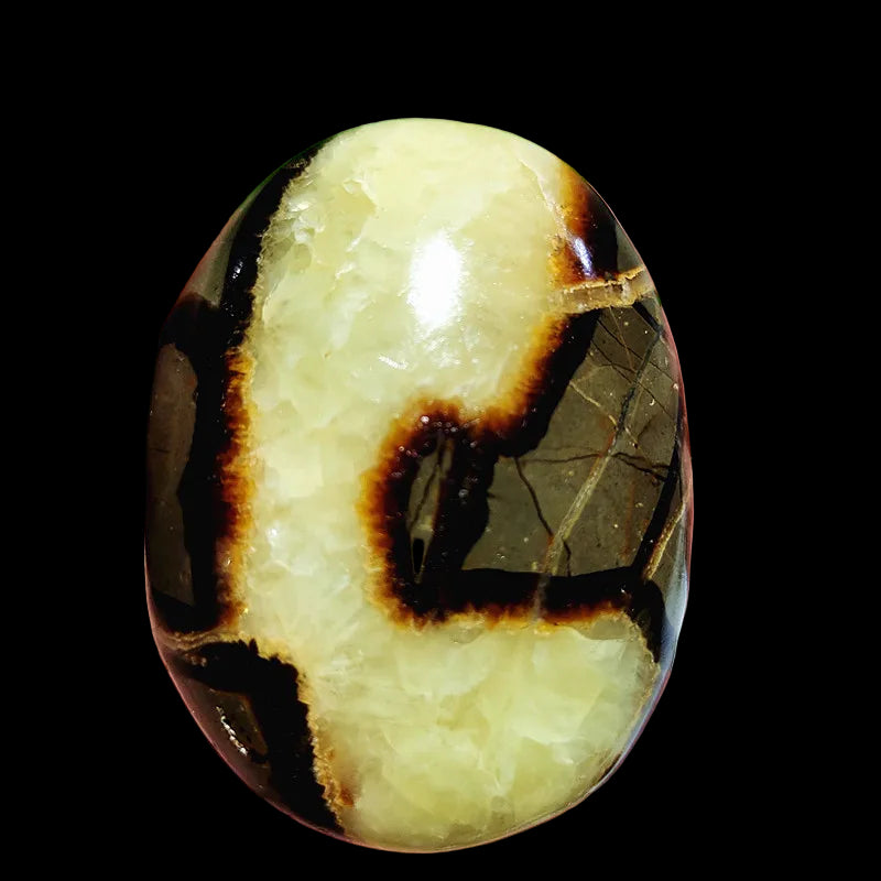 Polished stone with brown and beige patterns held in a hand against a green leaf background