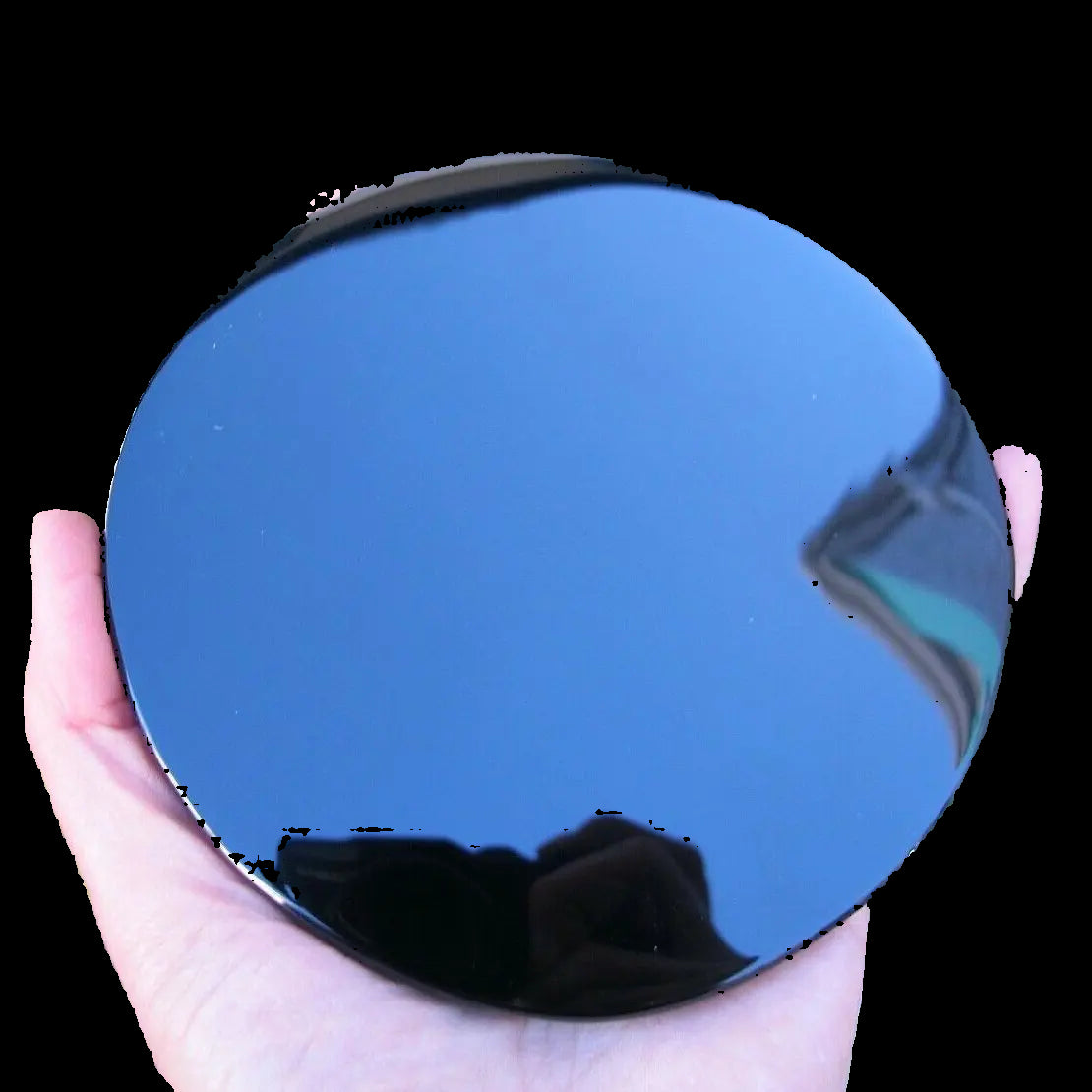 Round black object held in a hand with green foliage in the background