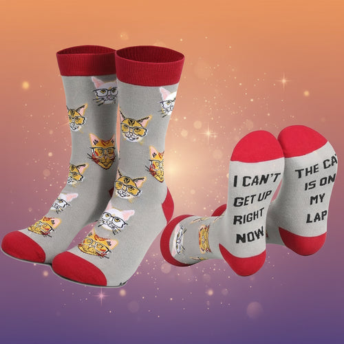 Pair of socks with cat illustrations and humorous text on a white background