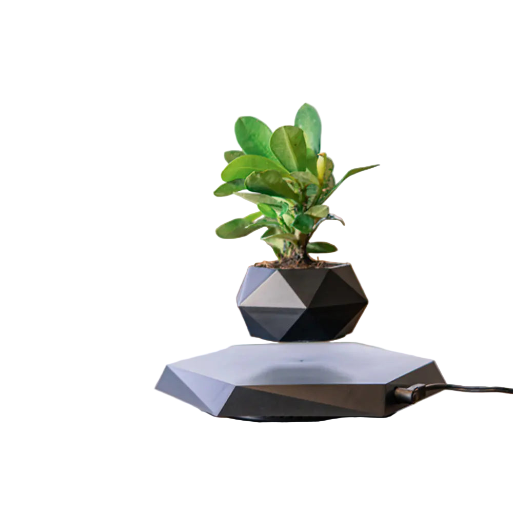 Levitating plant pot on a table with a blurred background