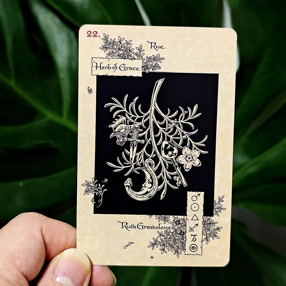 Card with intricate design and text held by a hand against a green leafy background