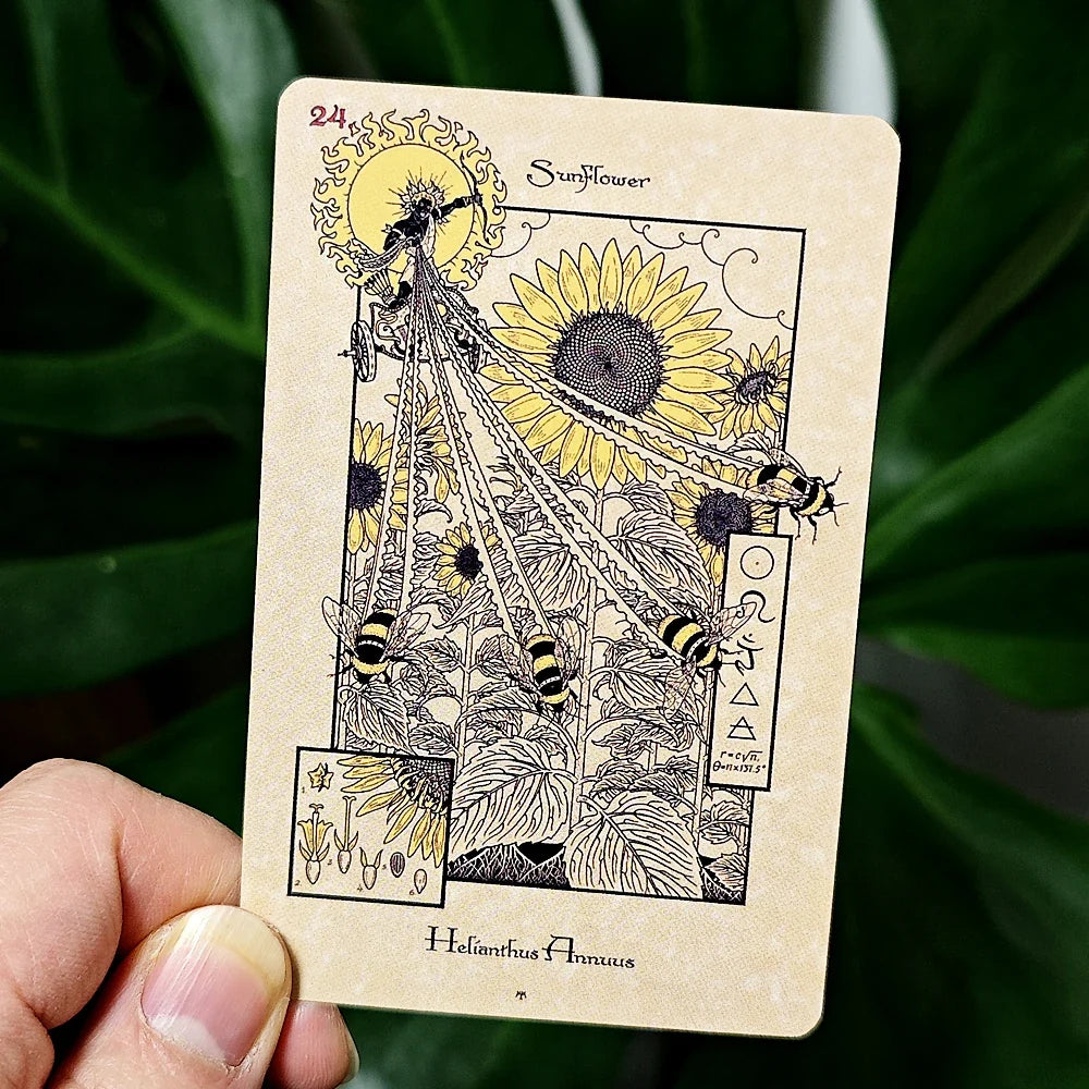 A hand holding a tarot-style card featuring a sunflower illustration, with green leaves blurred in the background.