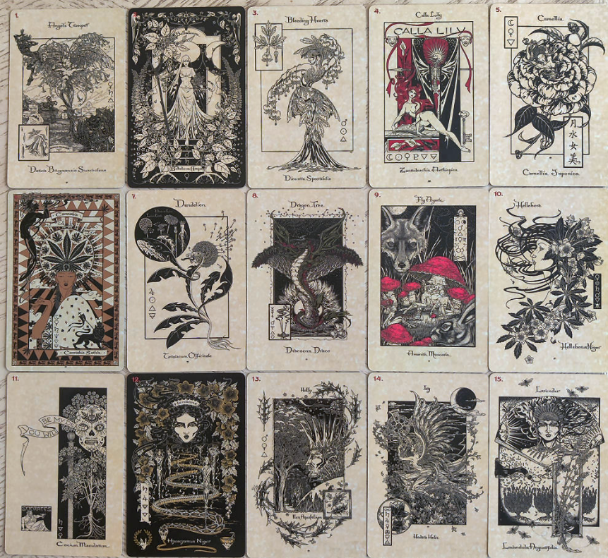 Collection of tarot cards with intricate designs and symbols on a textured background