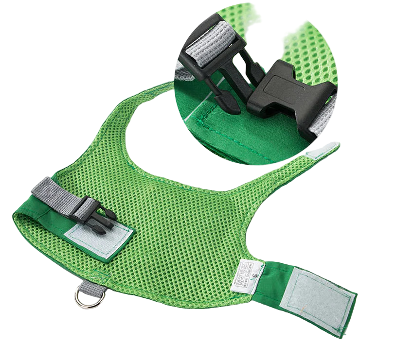 Green dog harness with black buckles on a white background