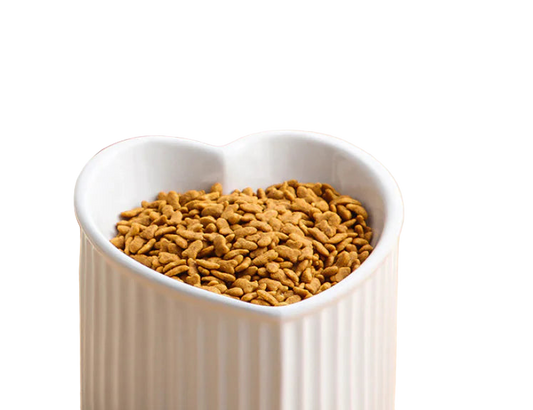 Heart-shaped white bowl filled with pet food on a wooden surface