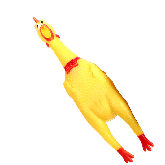 Yellow rubber chicken toy held by a hand on a white background