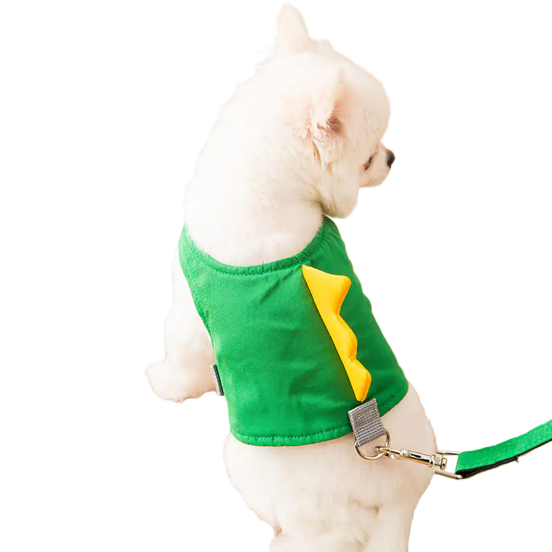 Small white dog wearing a green harness with a yellow emblem on a wooden floor