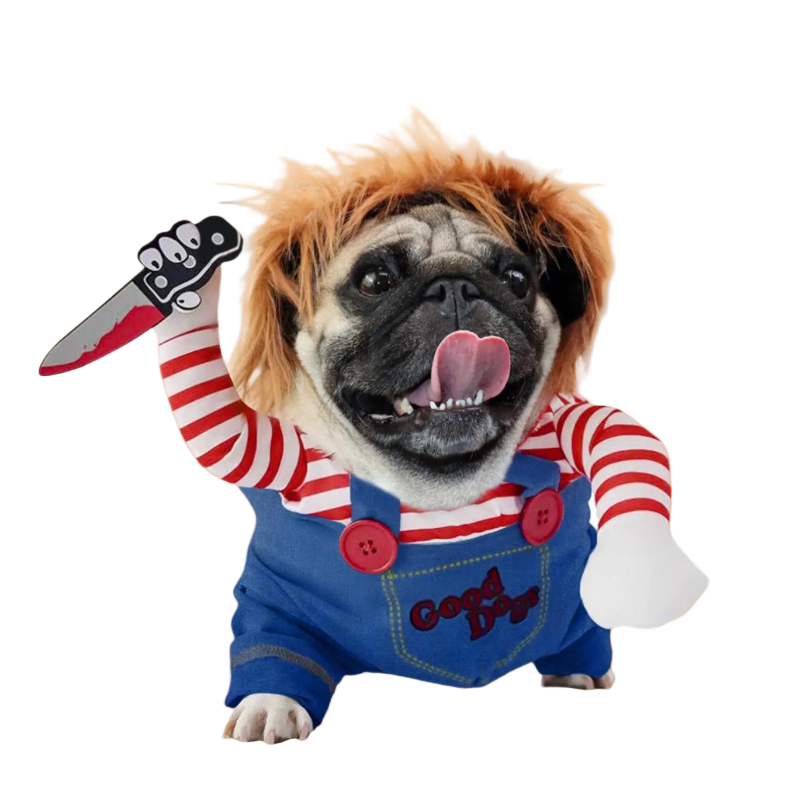 Dog wearing a costume with red and white striped shirt, blue overalls, and holding a toy knife on a white background