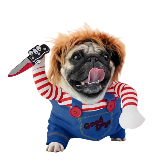 Dog wearing a costume with red and white striped shirt, blue overalls, and holding a toy knife on a white background
