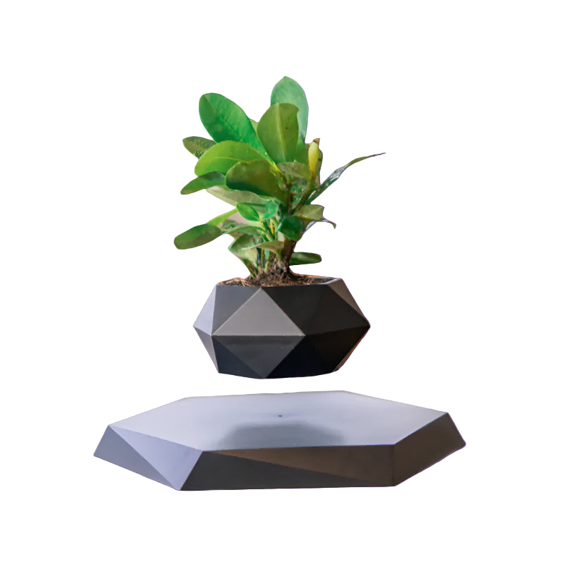 Geometric black and gray planter with a green plant on a white background