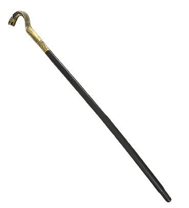 Decorative walking cane with a gold handle on a white background