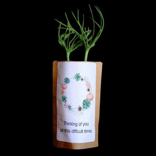 Small vase with green plant on a wooden surface, featuring a sympathy card with floral design and text.