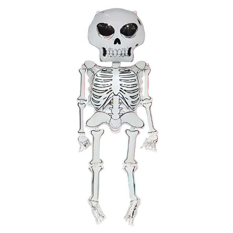 Silver skeleton toy on a white background