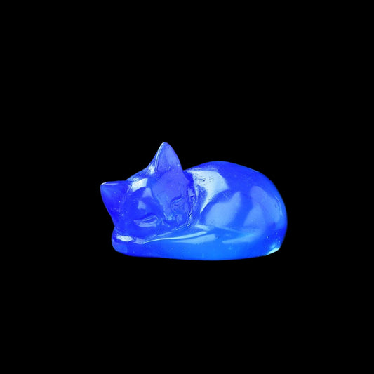 Glowing blue cat-shaped object on a dark textured surface with blurred greenery in the background