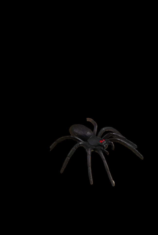 Wooden box with a spider toy on top, causing surprise among three people.