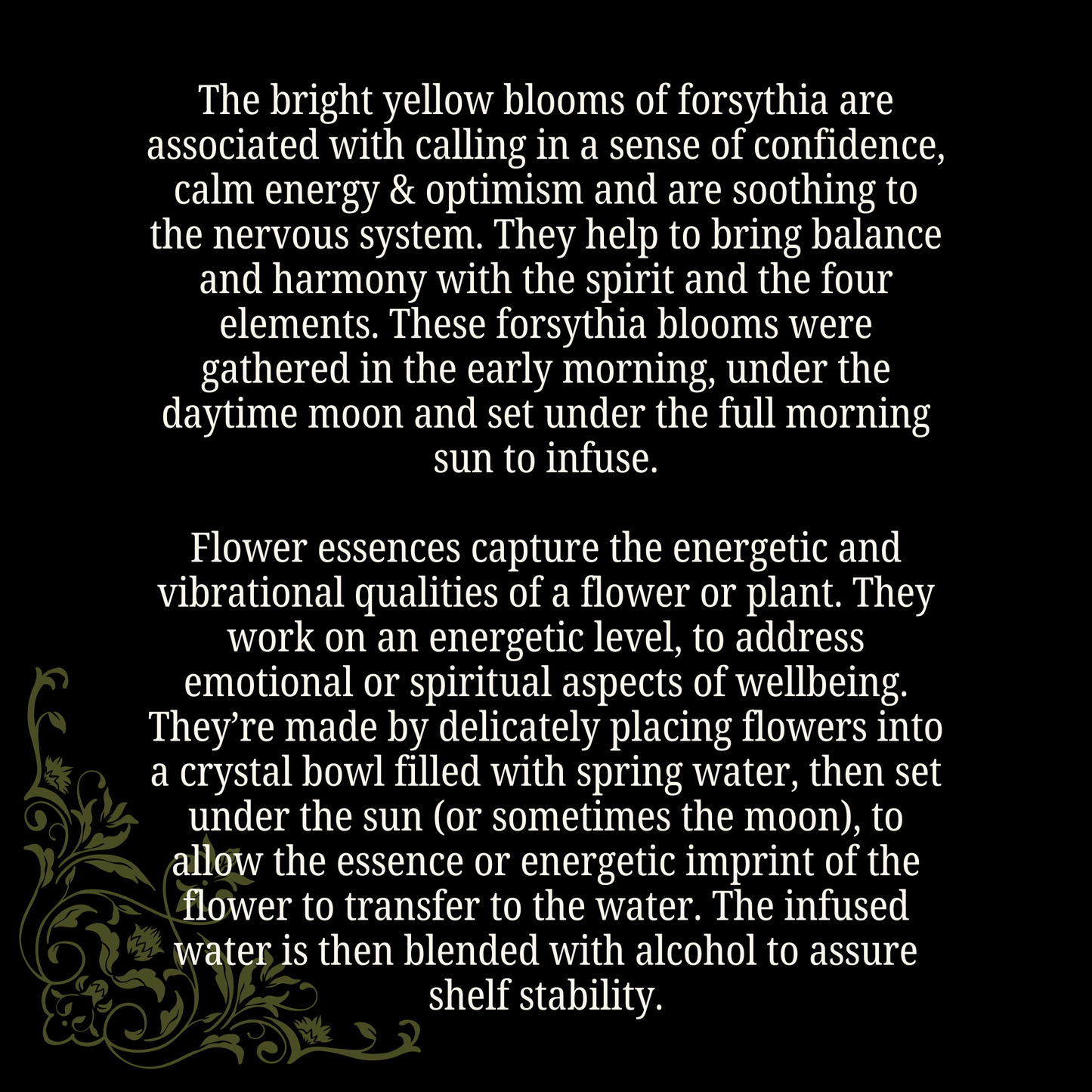 Optimism Forsythia Flower Essence for Confidence and Serenity - Lucky Girl Gifts