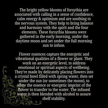 Optimism Forsythia Flower Essence for Confidence and Serenity - Lucky Girl Gifts