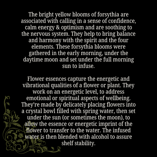 Optimism • Forsythia Flower Essence • Confidence & Serenity - Lucky Girl Gifts