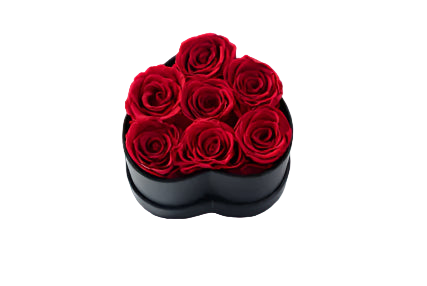 Heart-shaped box with red roses on a white background