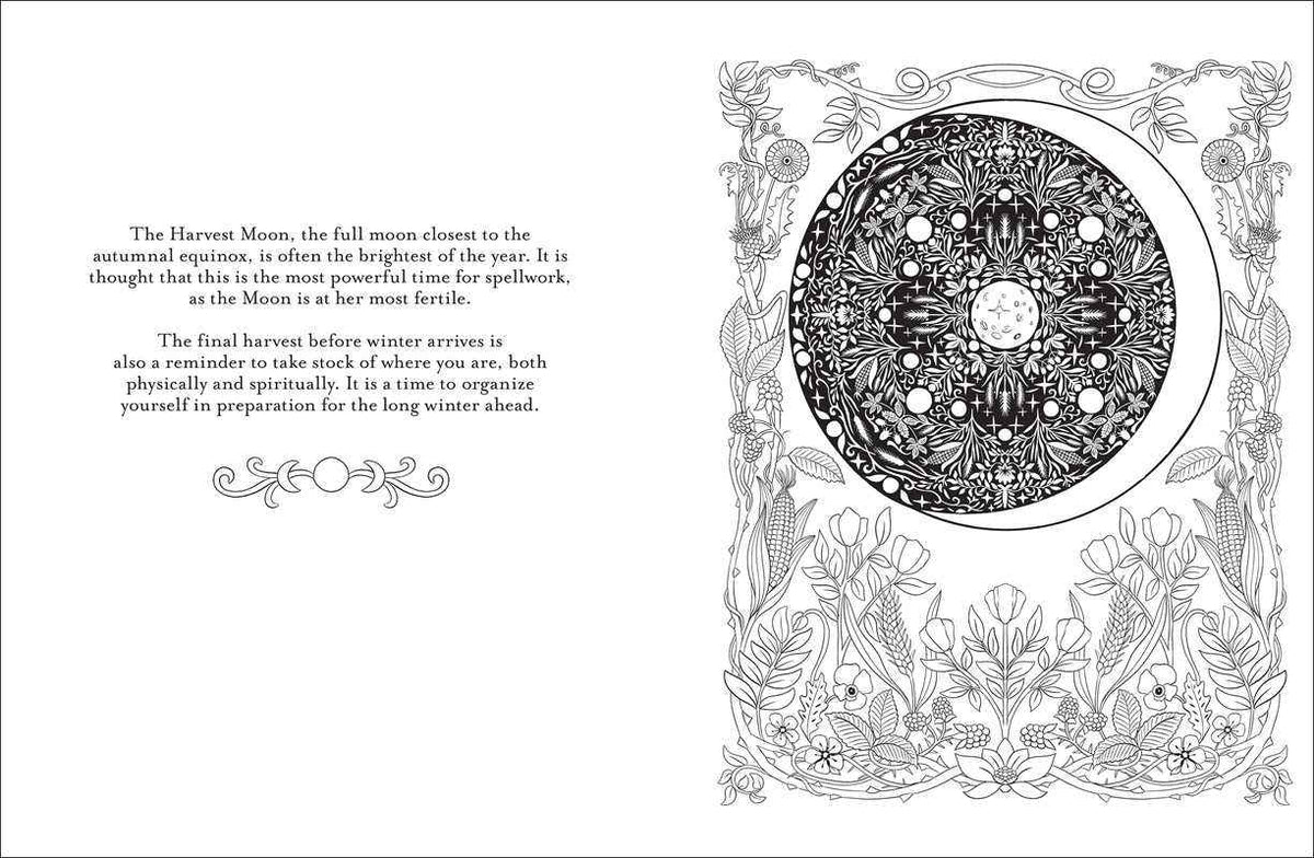Believe in Magic Coloring Book by Claire Scully