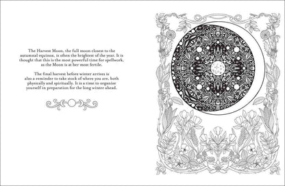 Believe in Magic Coloring Book by Claire Scully
