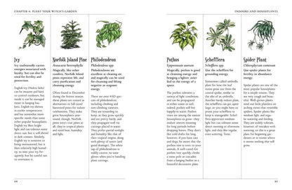 Page from a book on plants with illustrations and text about various indoor plants.