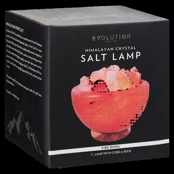 Box of Himalayan crystal salt lamp with 'Evolution Salt Co.' branding