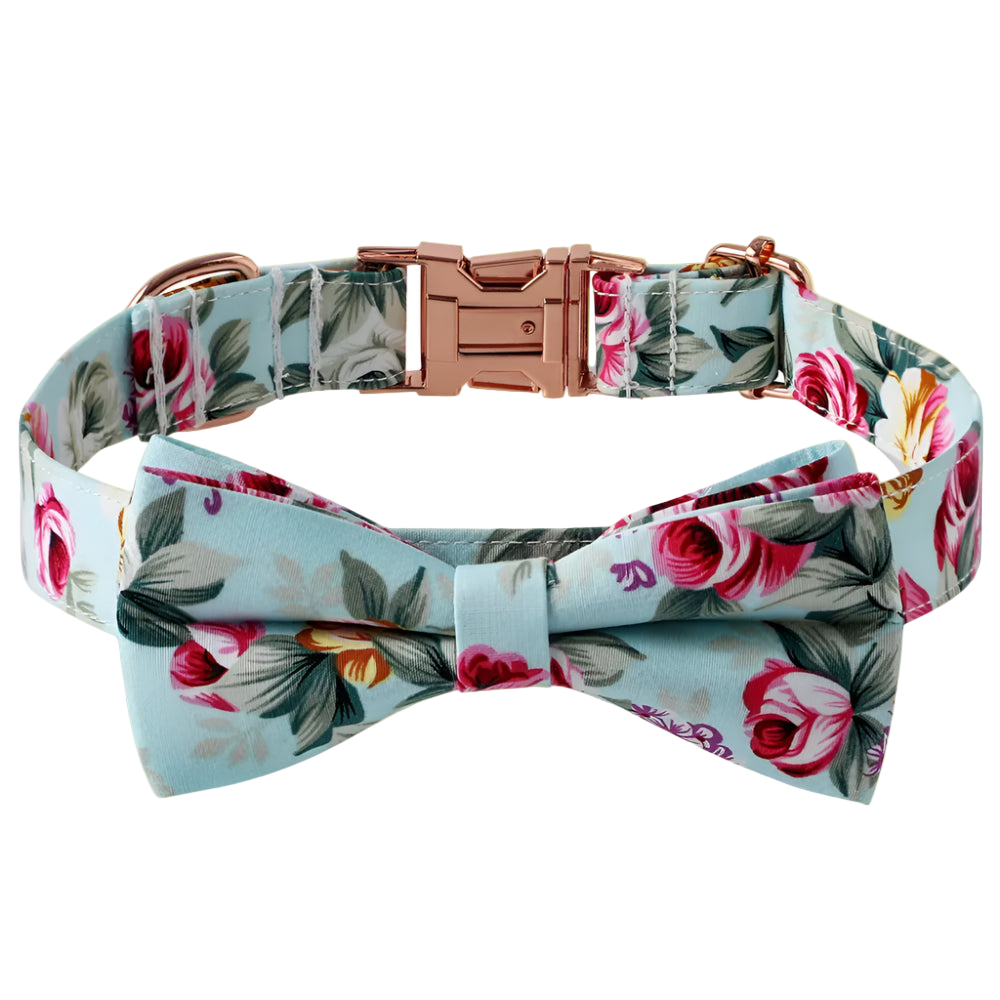 Floral dog collar with a bow tie on a white background