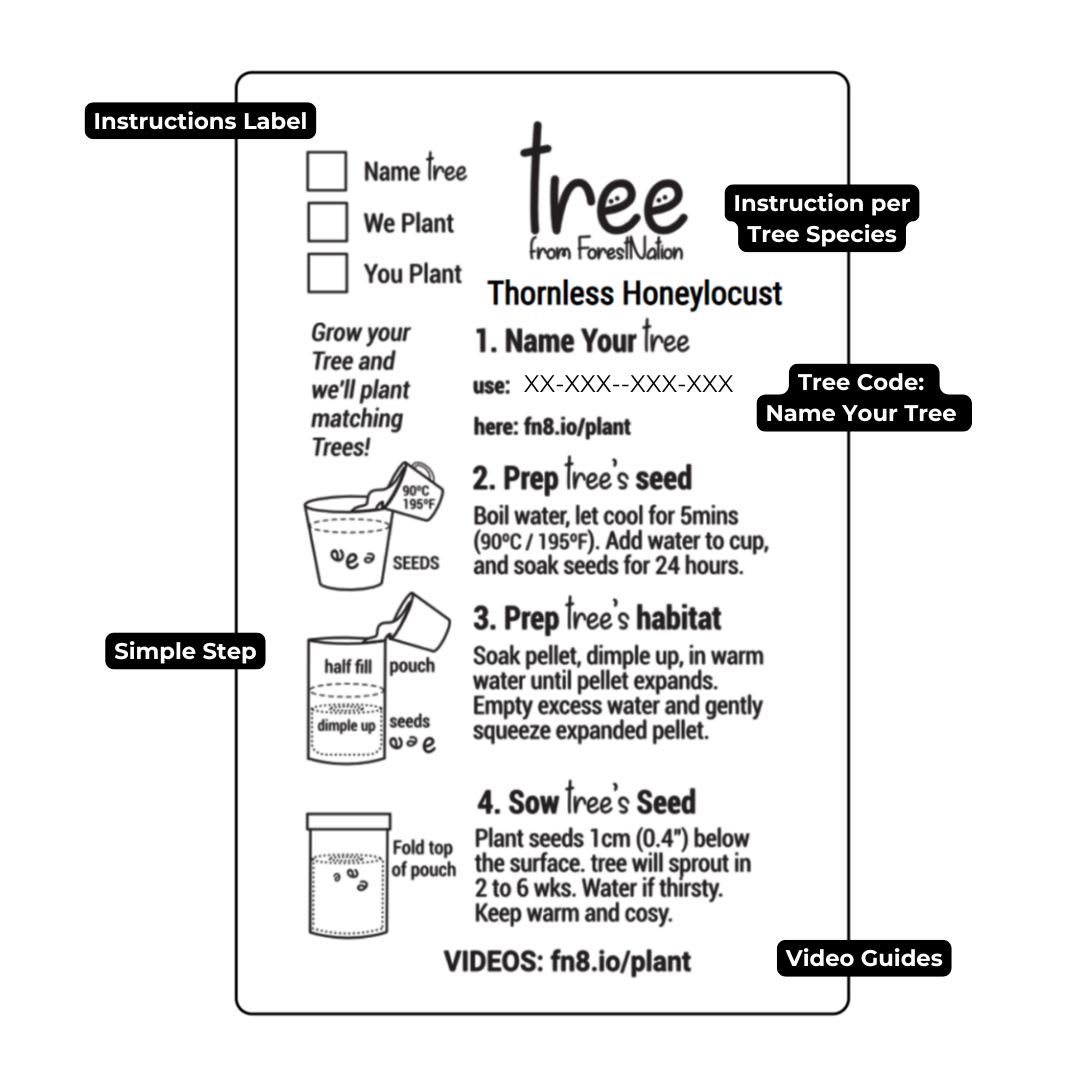 Instructions label for a tree planting kit with text and graphics on a white background