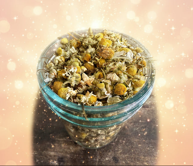 Dried Herbs Small Jars-7