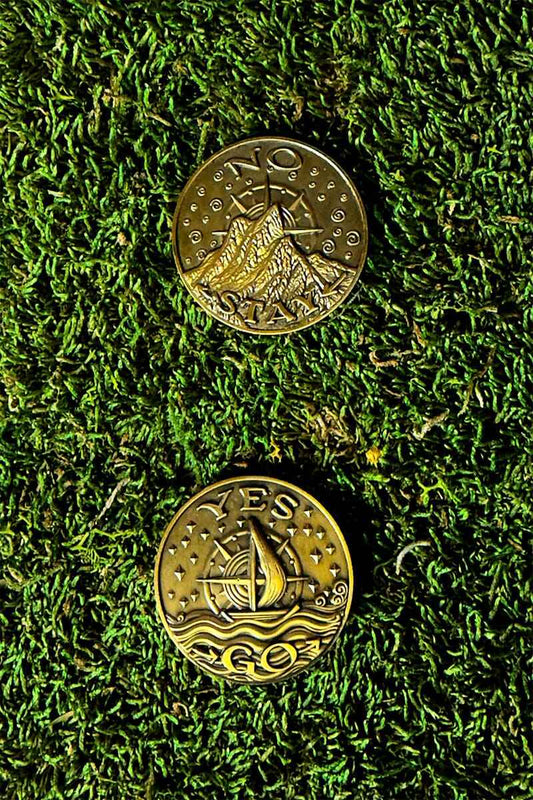 Two gold coins with ship designs on a green moss background