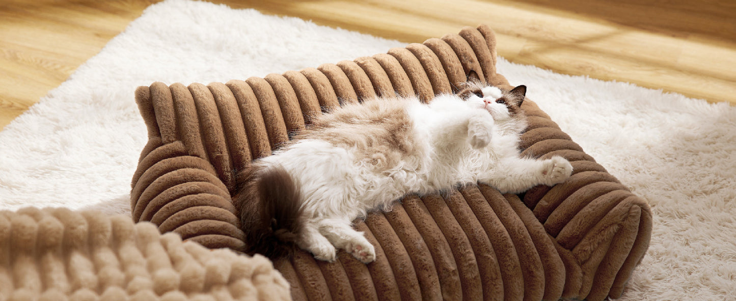 Cat lying on a brown plush pet bed in a room with wooden floor and white rug.