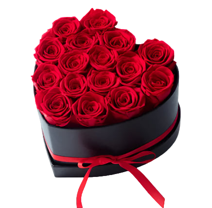 Heart-shaped box filled with red roses on a white background
