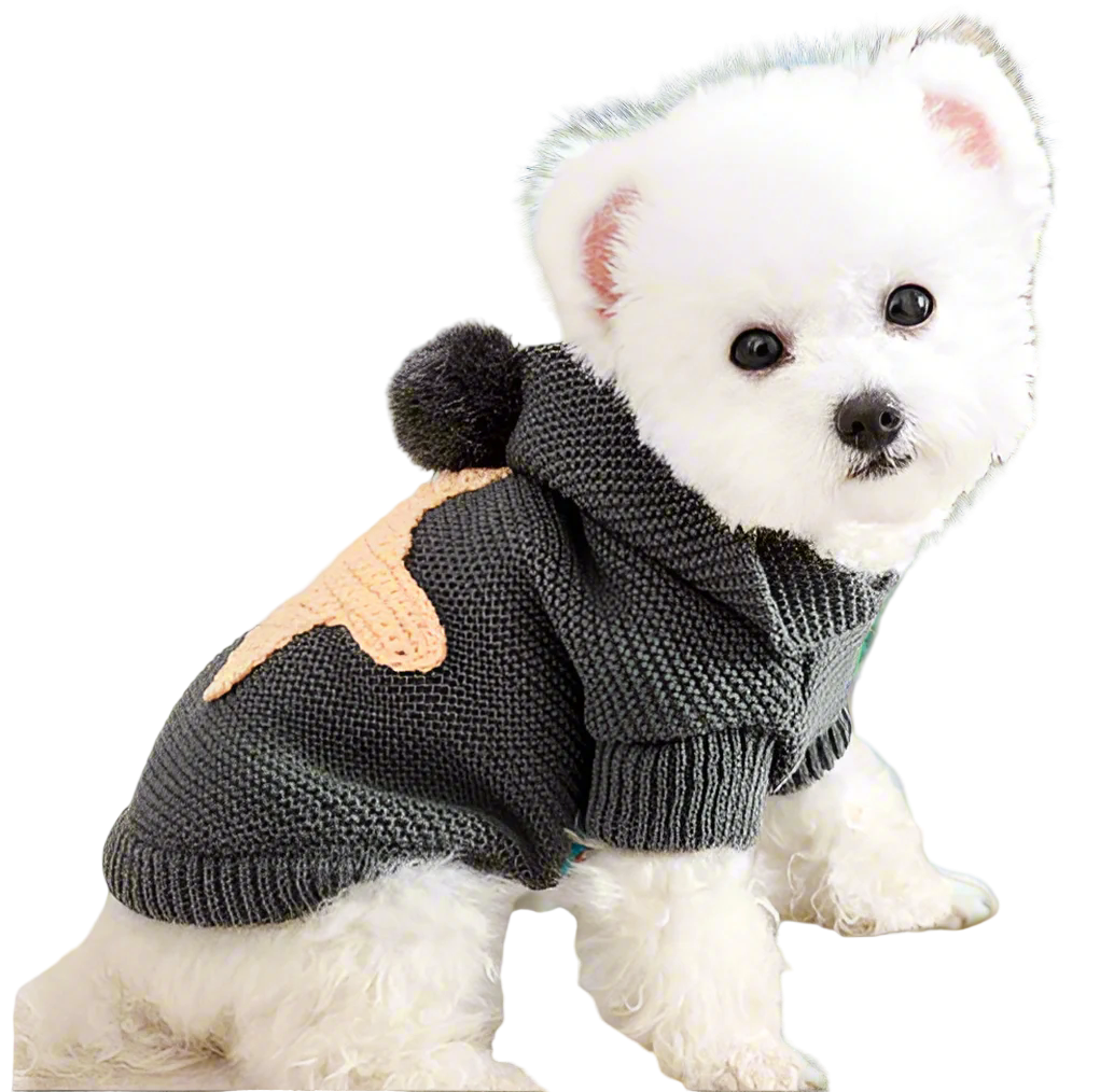 Small white dog wearing a gray knitted sweater with a pom-pom on a light background