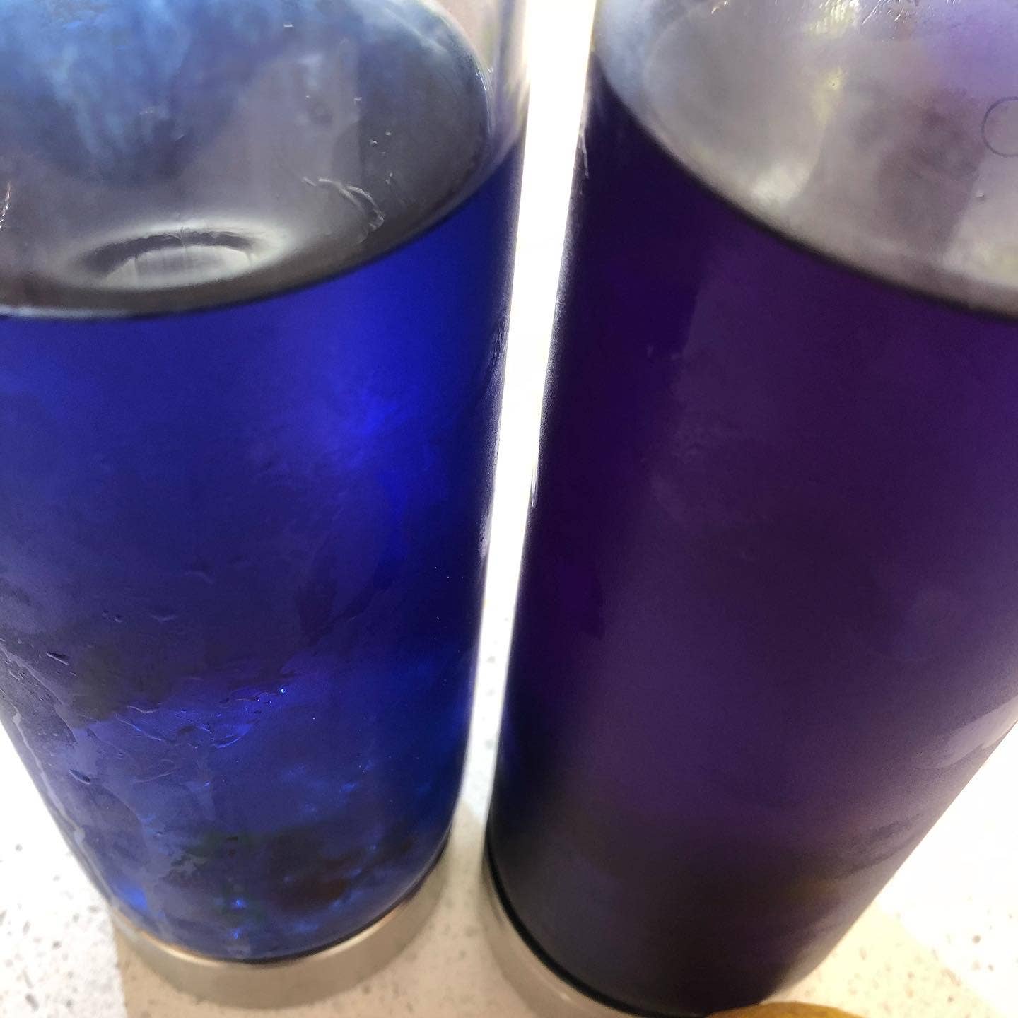 Organic Butterfly Tea-1