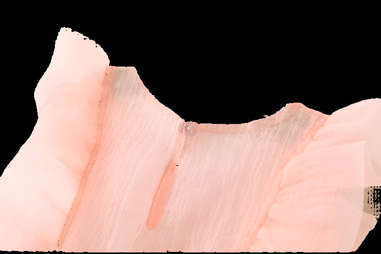 Light pink blouse on a hanger against a light background