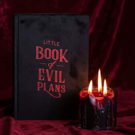 Little Book of Evil Plans Velvet Journal
