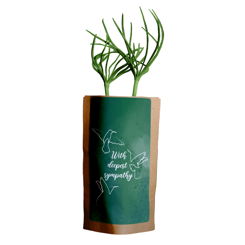 Green plant in a paper bag with 'With deepest sympathy' text on a wooden surface.