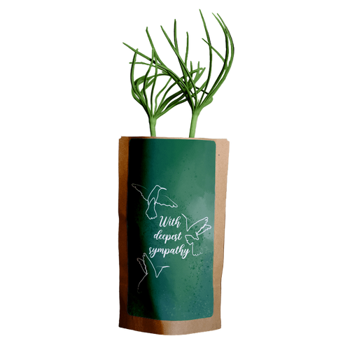 Green plant in a paper bag with 'With deepest sympathy' text on a wooden surface.