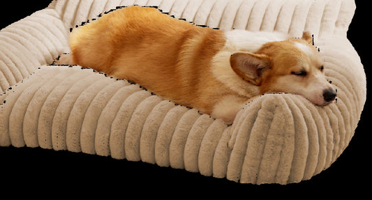 Dog lying on a plush beige pet bed in a cozy room.