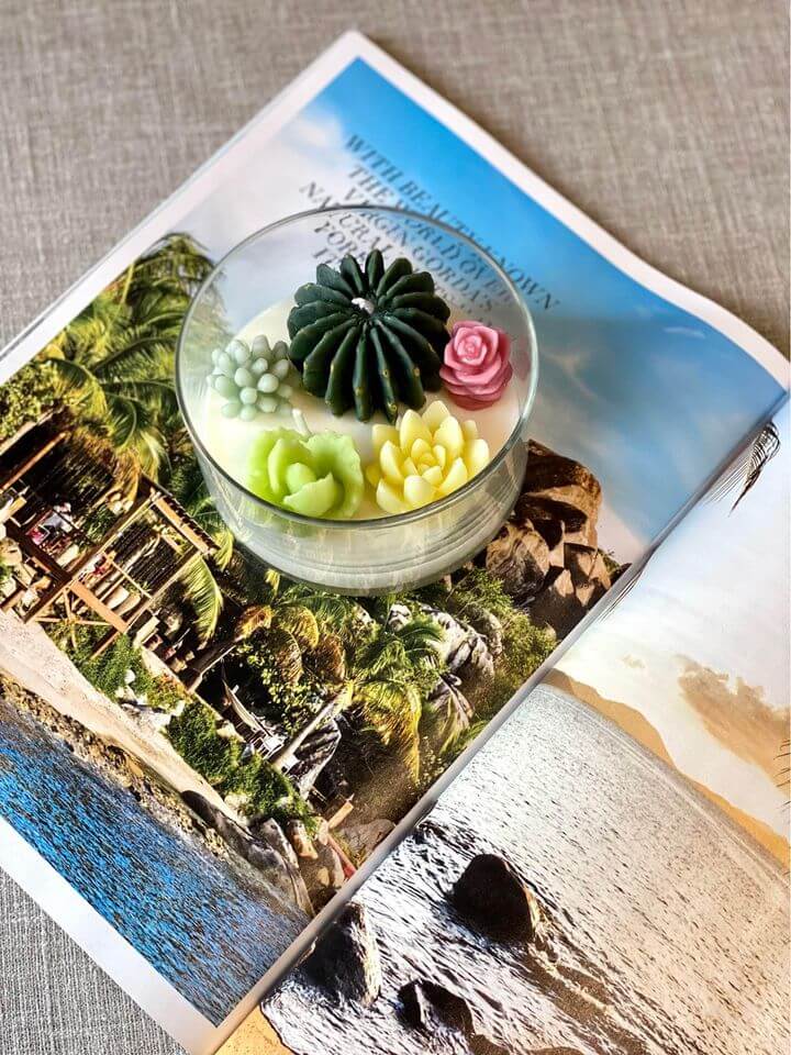 Small terrarium with succulents on an open magazine