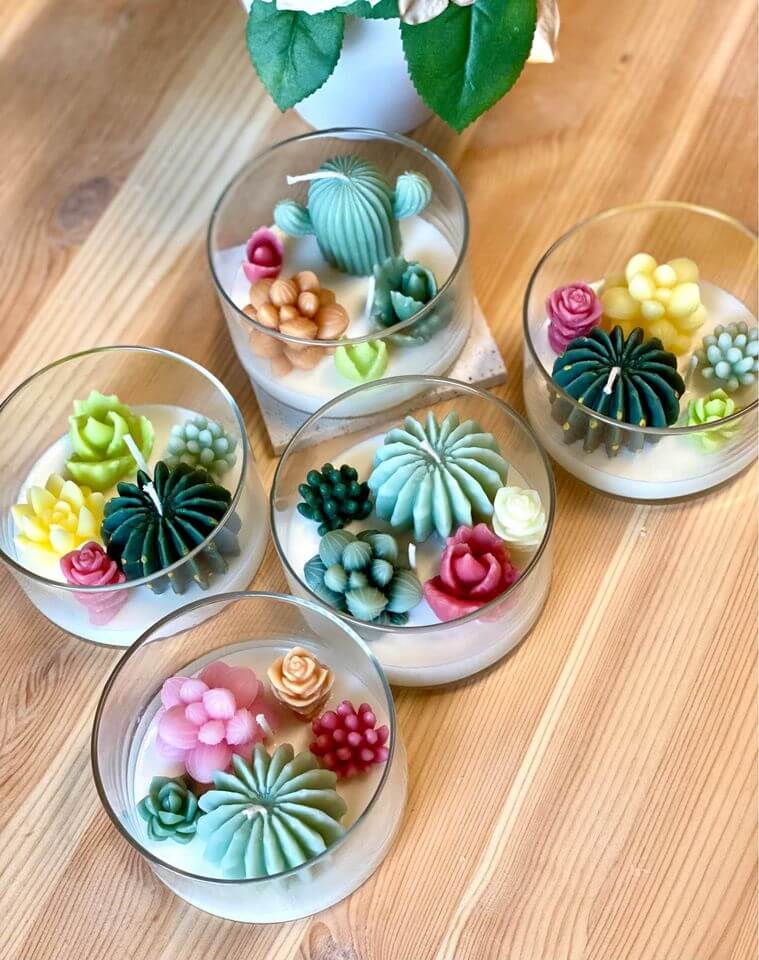 Colorful succulent-shaped candles in glass holders on a wooden surface.