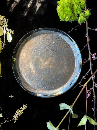 Round metallic object on a dark surface with greenery
