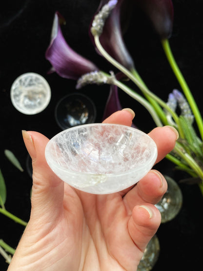Hand holding a clear crystal bowl with purple flowers in the background