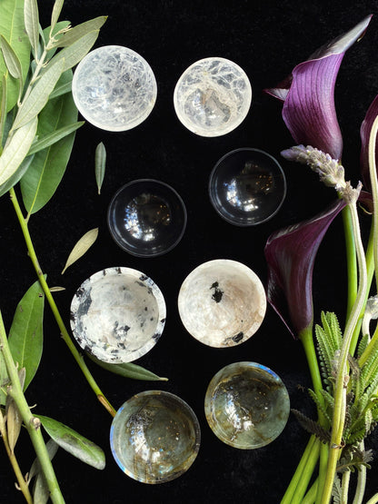 Set of crystal balls on a dark surface with greenery and a purple flower.