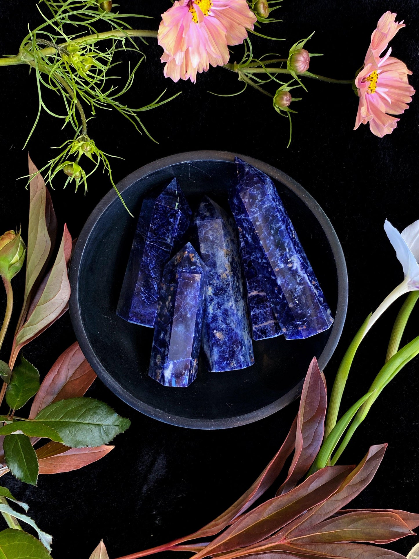 Blue crystal sticks in a black dish surrounded by greenery and flowers on a dark background