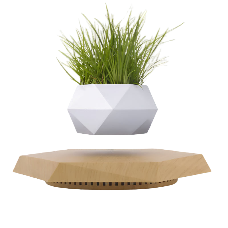 Geometric white and wooden planter with a green plant on a white background