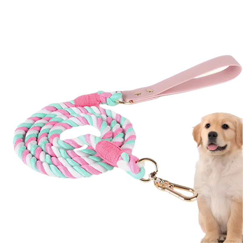 Pink and green braided dog leash with a golden retriever on a white background