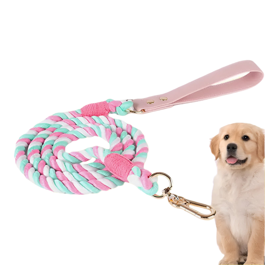 Pink and green braided dog leash with a golden retriever on a white background